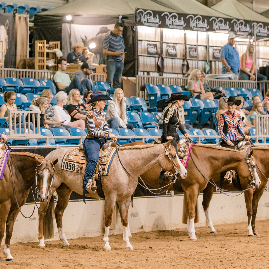 NSBA Expands Horse Of The Year Divisions